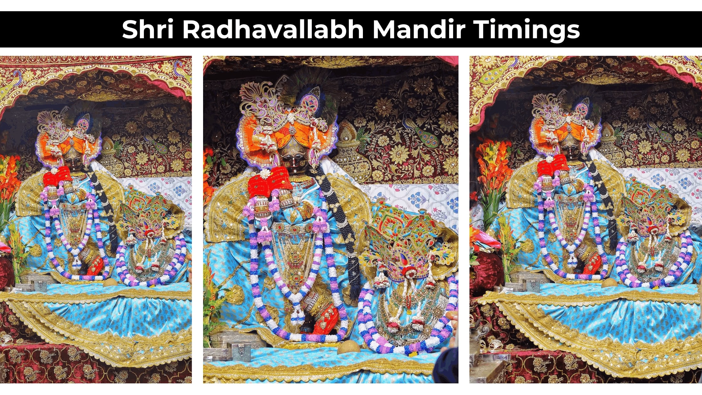 Radhavallabh Mandir Timings