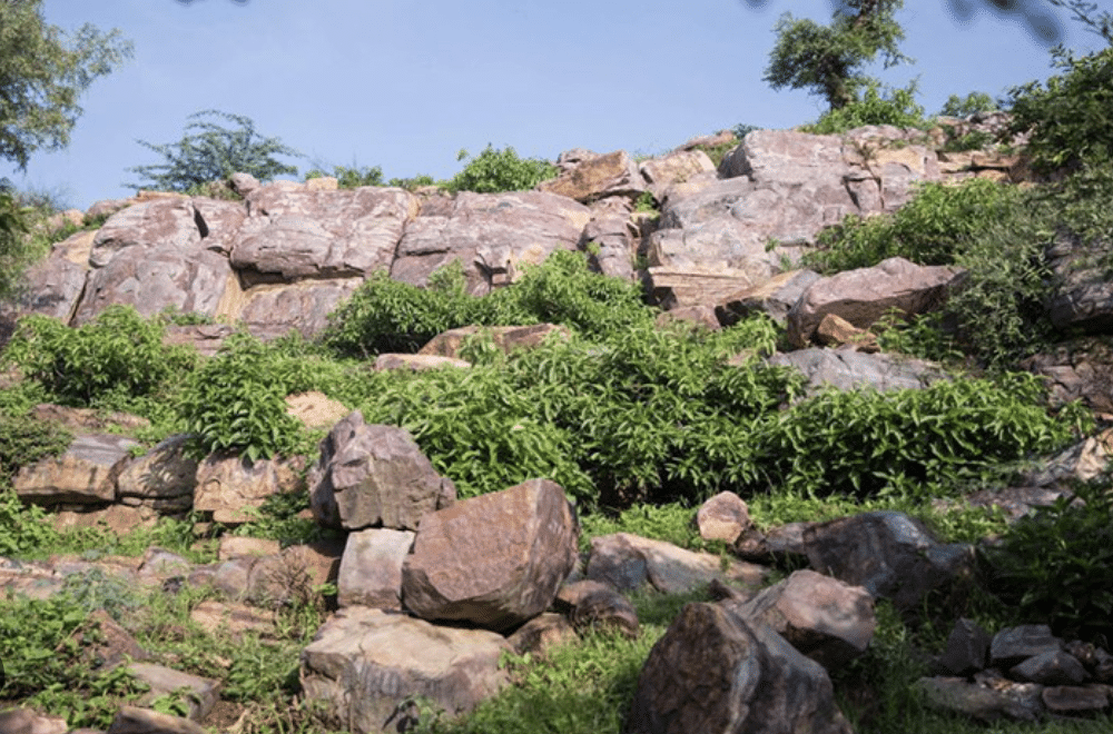 Mansi Ganga Goverdhan